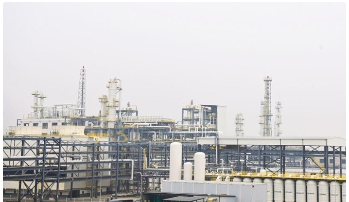 國內某聚氨酯新材料產業園生產區