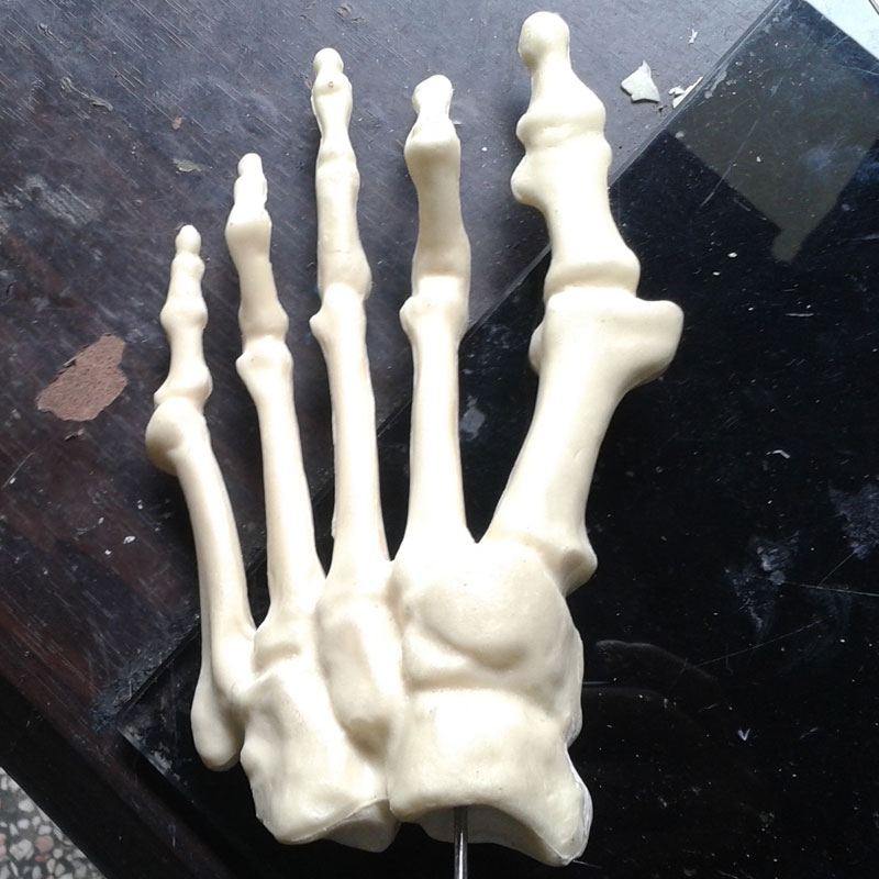 人體腳掌骨骼 人體腳掌骨骼