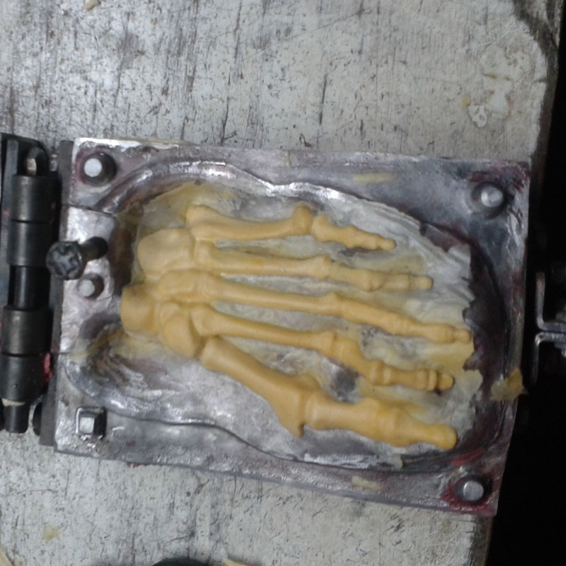 人體腳掌骨骼 人體腳掌骨骼