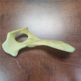 獸類貓狗動物骨骼模型